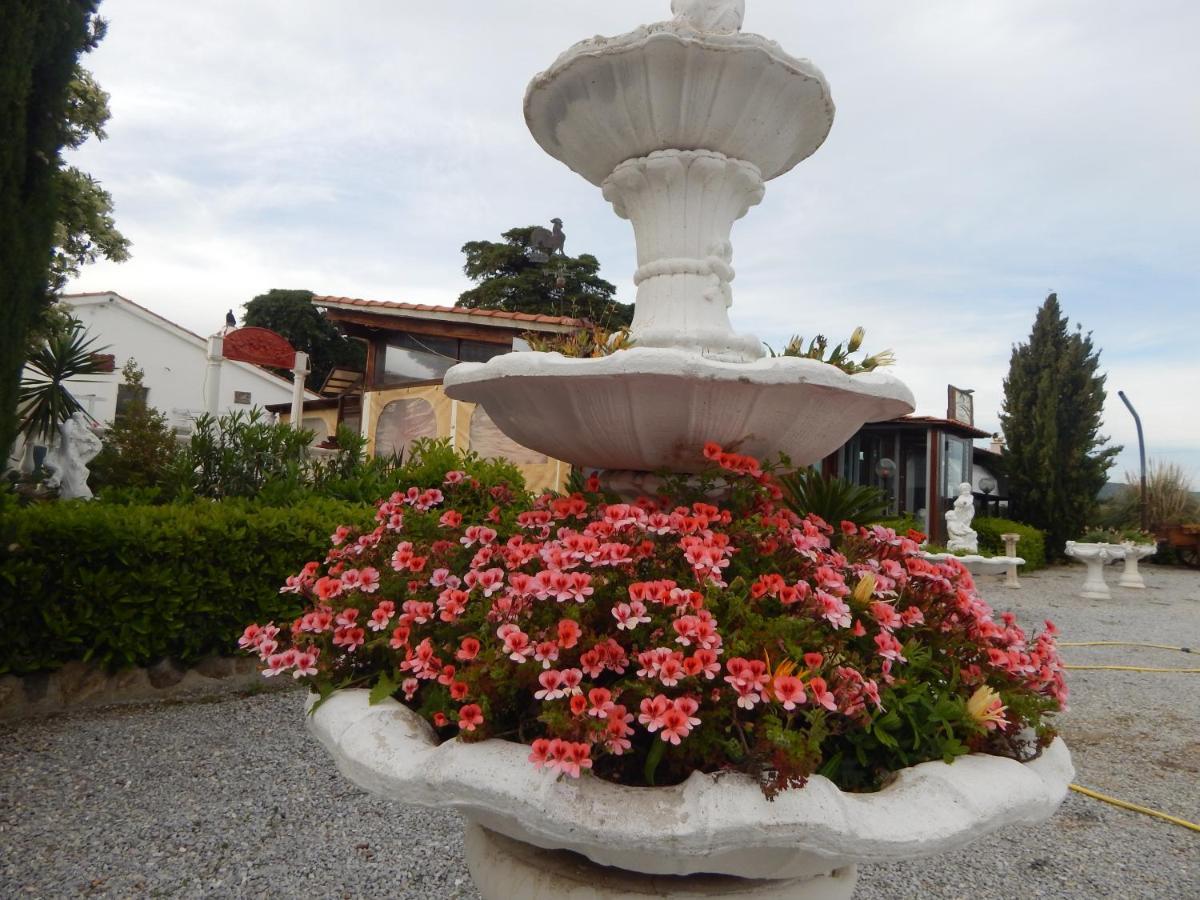 Marina di Cerveteri House 7 With 2 Bedrooms In The Countryside Of Rome מראה חיצוני תמונה