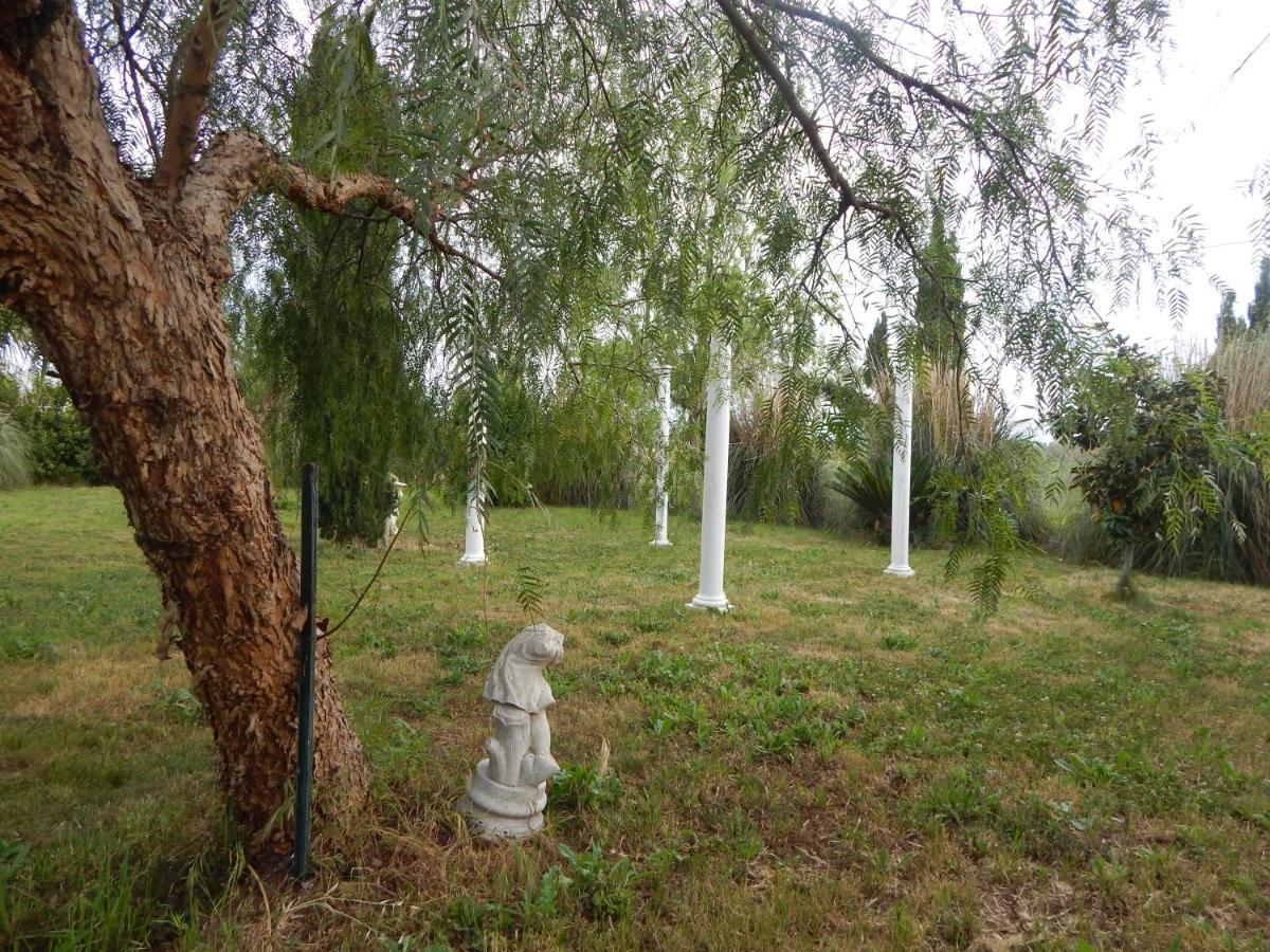 Marina di Cerveteri House 7 With 2 Bedrooms In The Countryside Of Rome מראה חיצוני תמונה