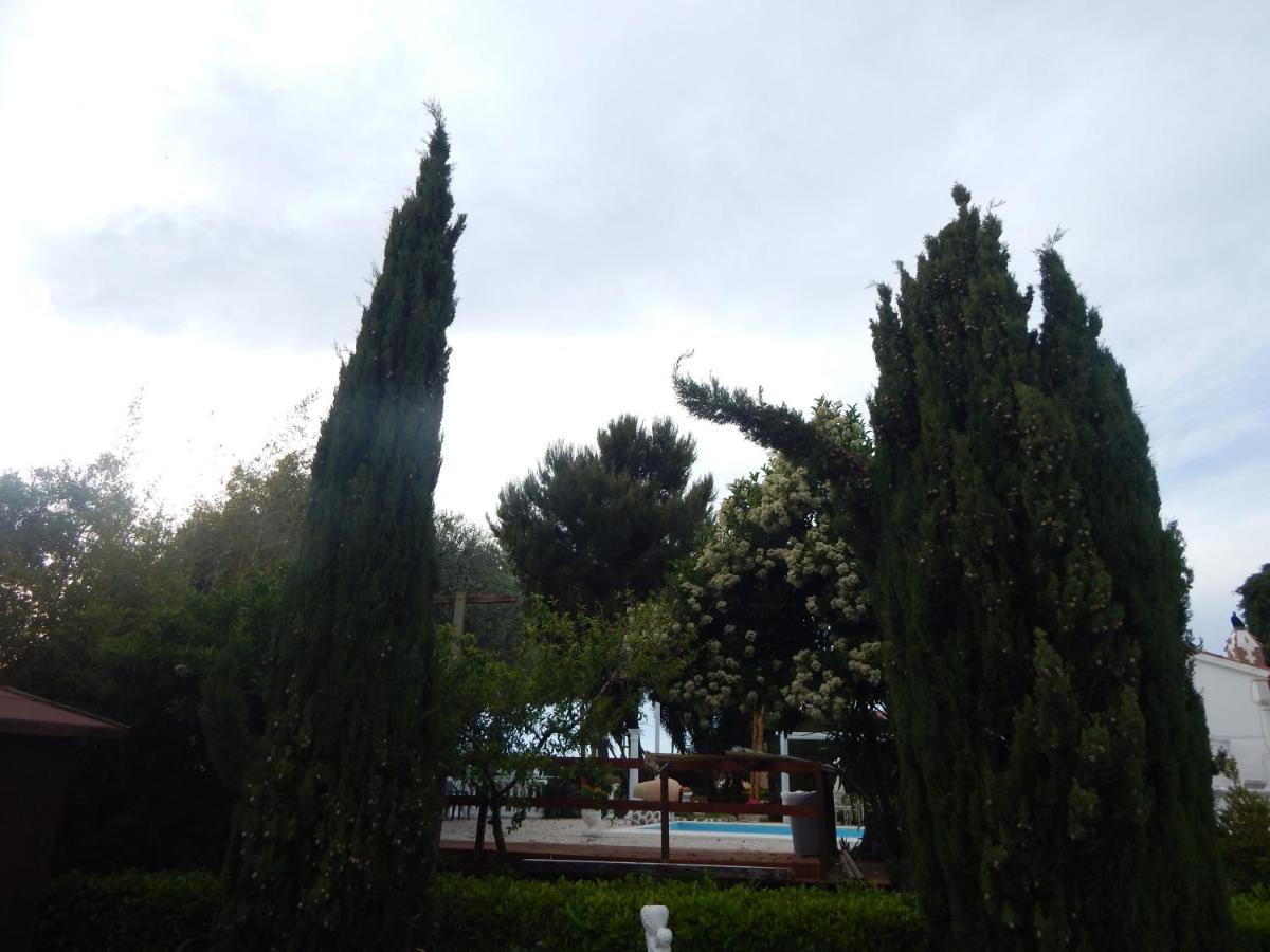 Marina di Cerveteri House 7 With 2 Bedrooms In The Countryside Of Rome מראה חיצוני תמונה