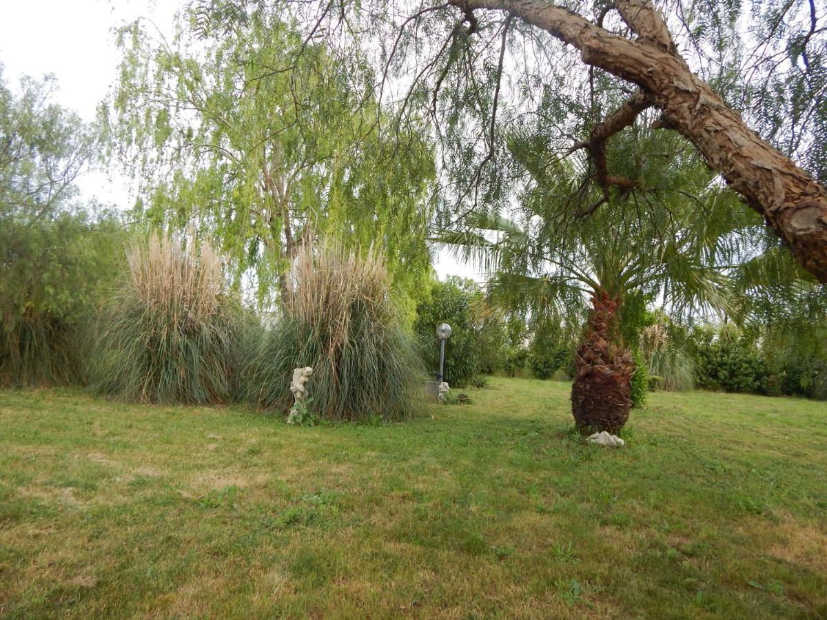 Marina di Cerveteri House 7 With 2 Bedrooms In The Countryside Of Rome מראה חיצוני תמונה