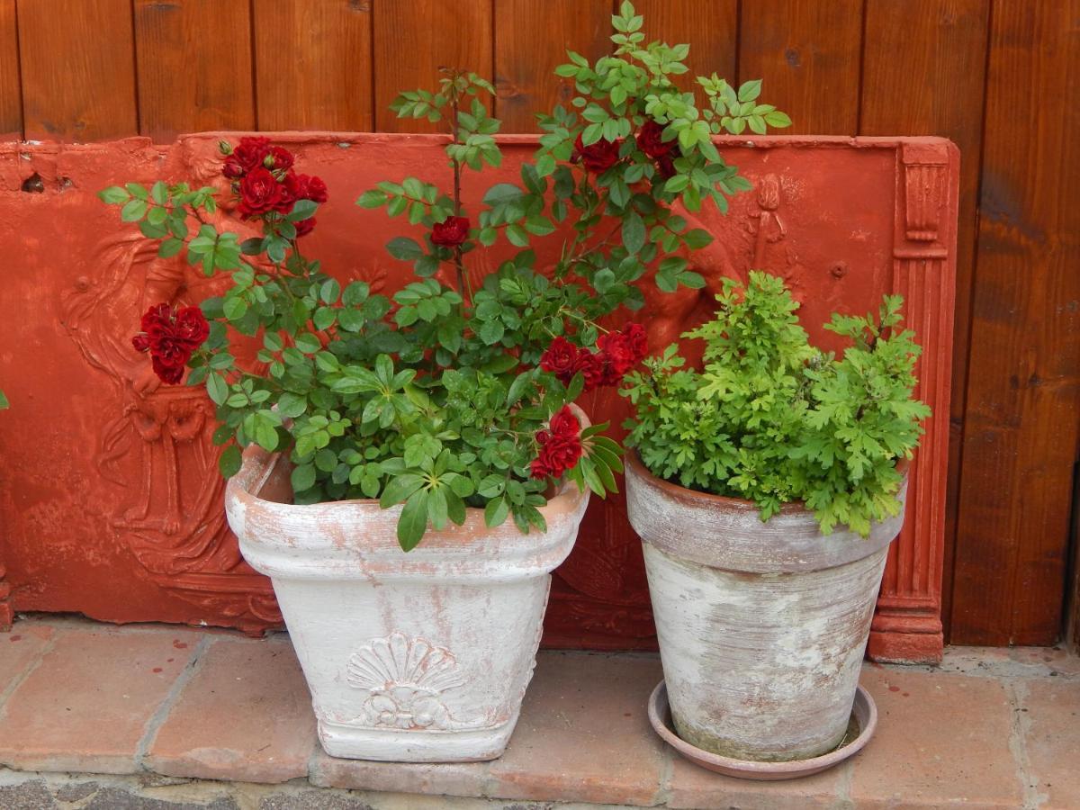 Marina di Cerveteri House 7 With 2 Bedrooms In The Countryside Of Rome מראה חיצוני תמונה